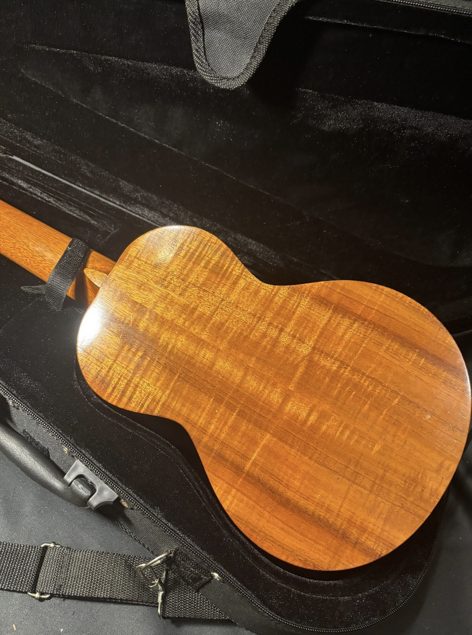 G String GStrings ukulele コンサートサイズ（中古）【楽器検索