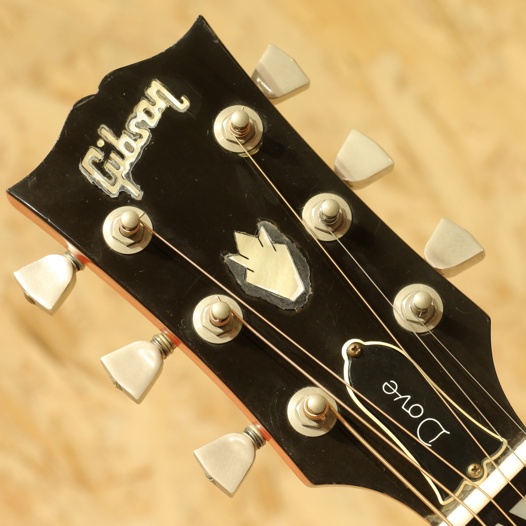 Gibson Dove Custom CS 1981（中古）【楽器検索デジマート】