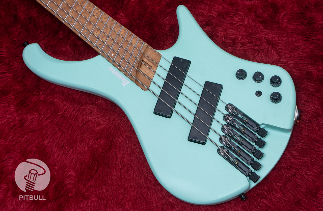 Ibanez EHB1005MS-SFM 2022 3.485kg #I221205077【GIB横浜】（中古