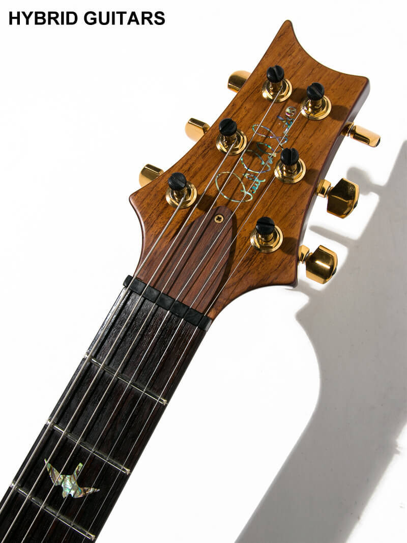 Paul Reed Smith(PRS) Custom 22 Artist Package Semi Hollow