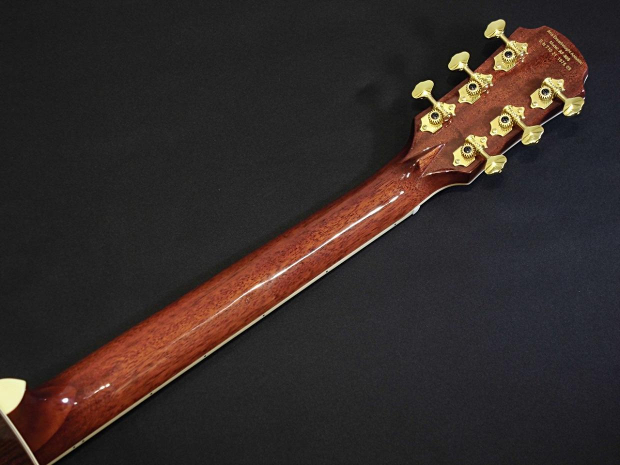 ARIA AF-905 -Aria Dreadnought- 【生産完了品】 【オール単板
