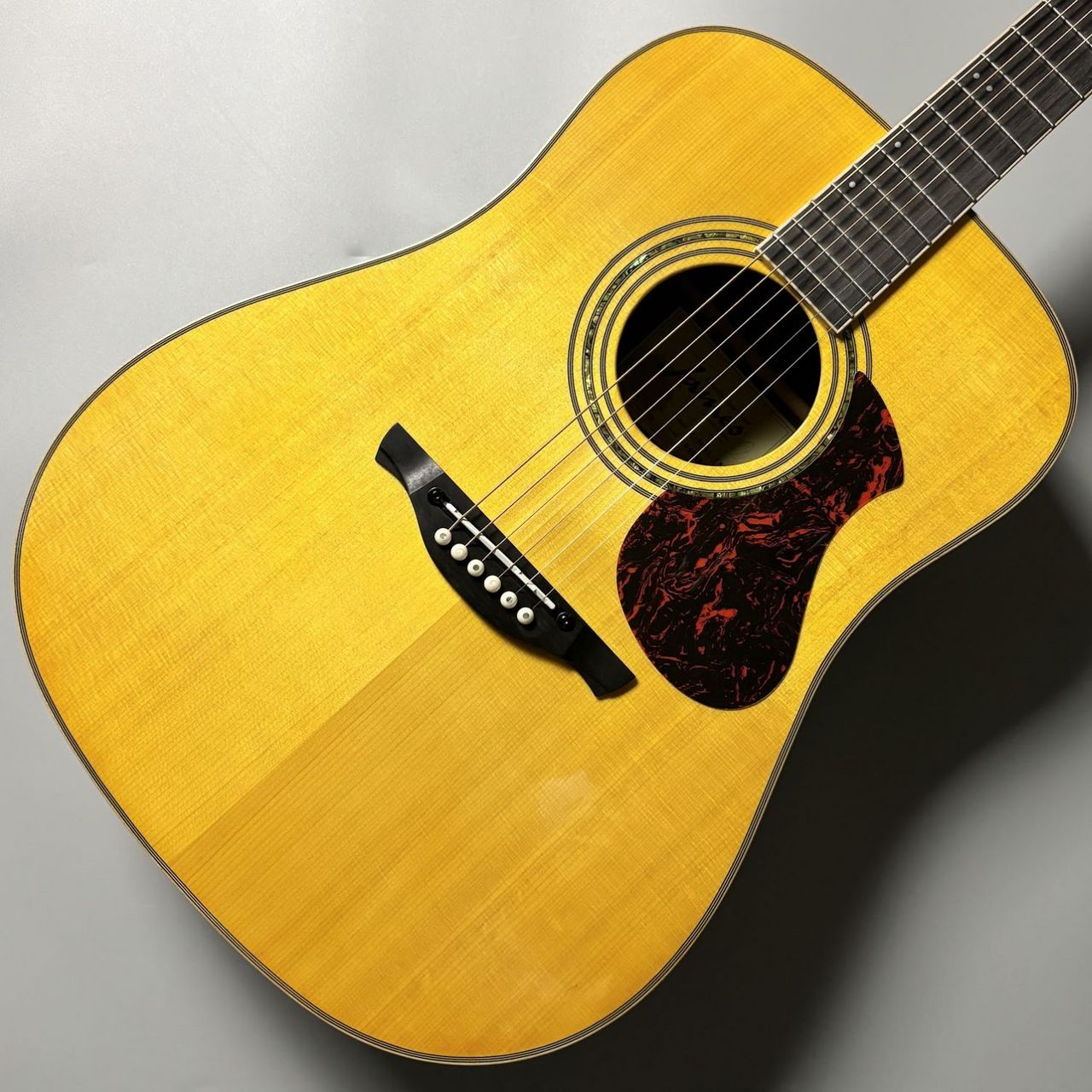 James J-500L VNT エレアコ アジャスタブルサドル搭載 簡単弦高調整