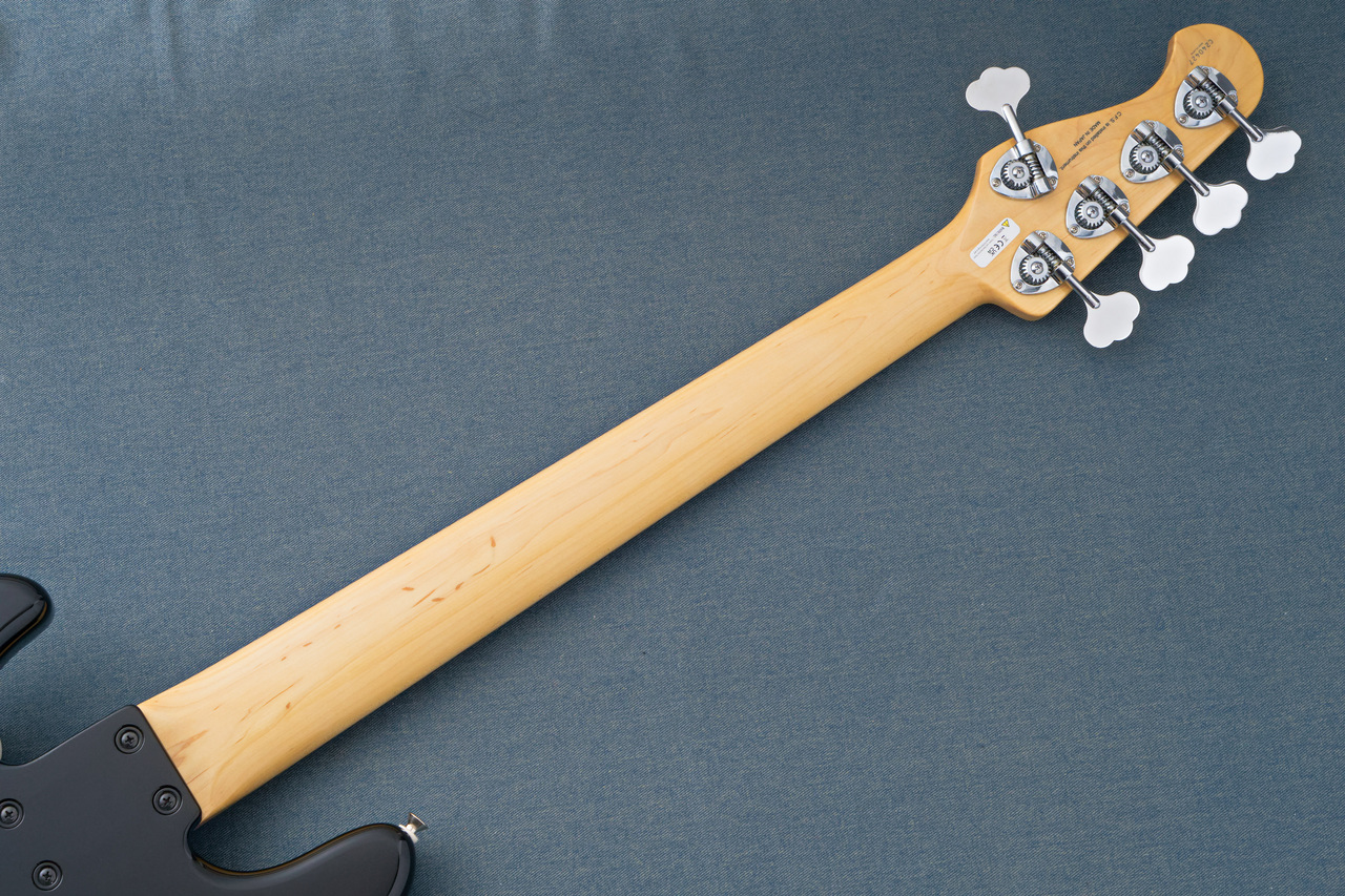 FUJIGEN(FGN) NJB100RALV-Black- BLK【4.61kg】【Made in Japan
