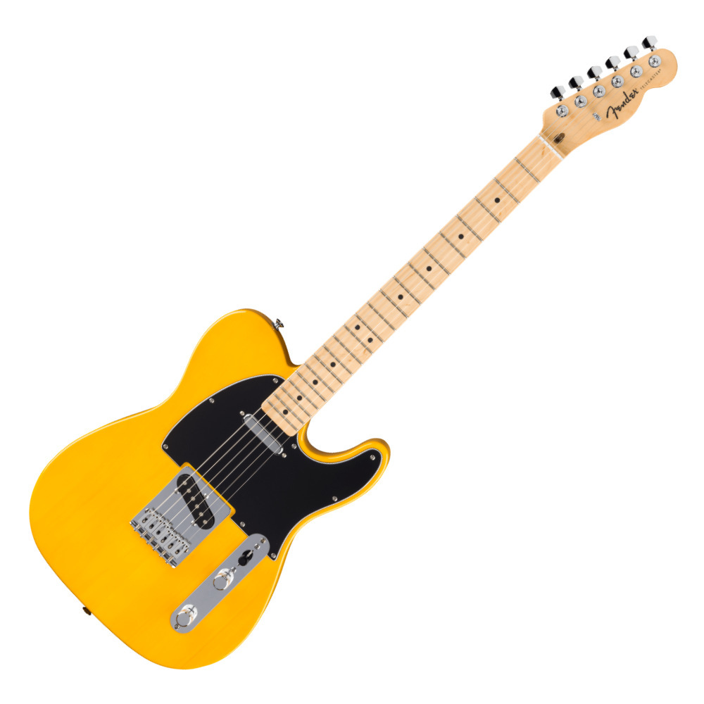 Fender エレキギター フェンダー テレキャスター USA アンプ Amazon | Fender フェンダー ギターアンプ CHAMPION 20 100V JP DS