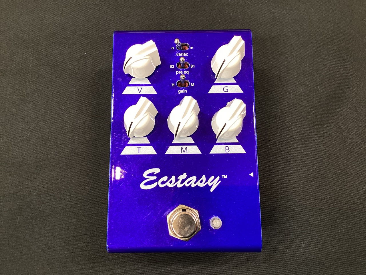 九月購入品　Bogner Ecstasy blue mini