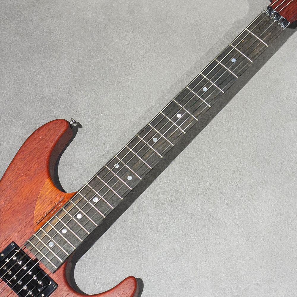 Washburn USA N4-NUNO PADAUK【パドゥーク材使用モデル】（新品/送料