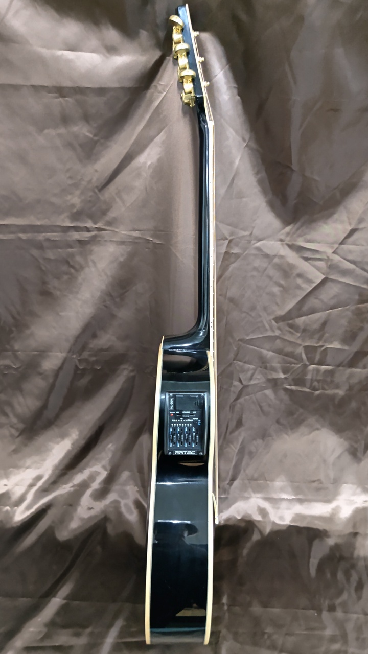 Zenn ZF33CE（中古）【楽器検索デジマート】