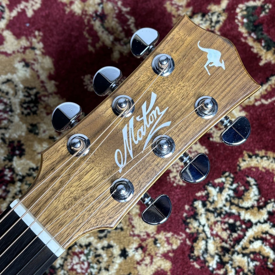 MATON (メイトン) EBG808TE Tommy Emmanuel Signature 【トミー
