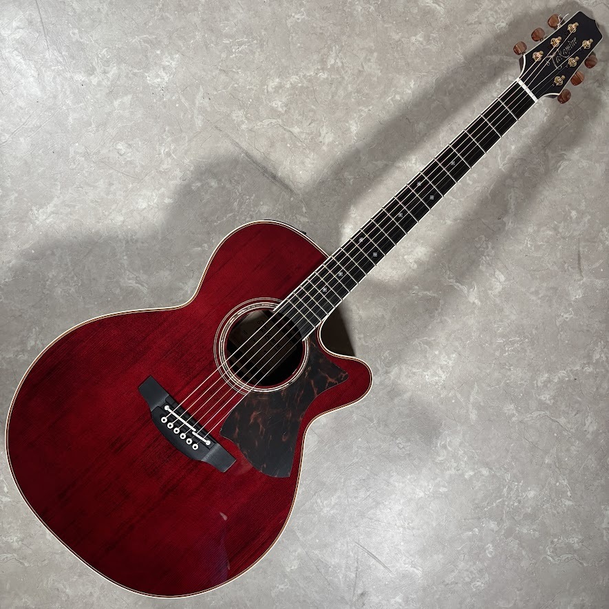 Takamine DMP50S WR エレアコギター セミハードケース付属 【島村楽器