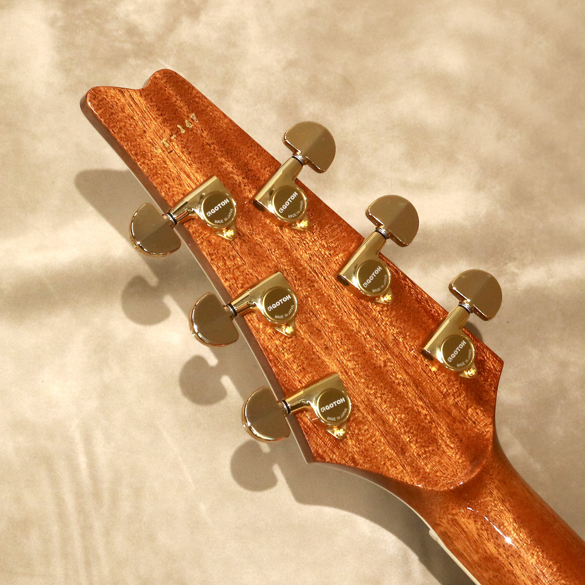 Greco GM-CST,Koa（新品/送料無料）【楽器検索デジマート】