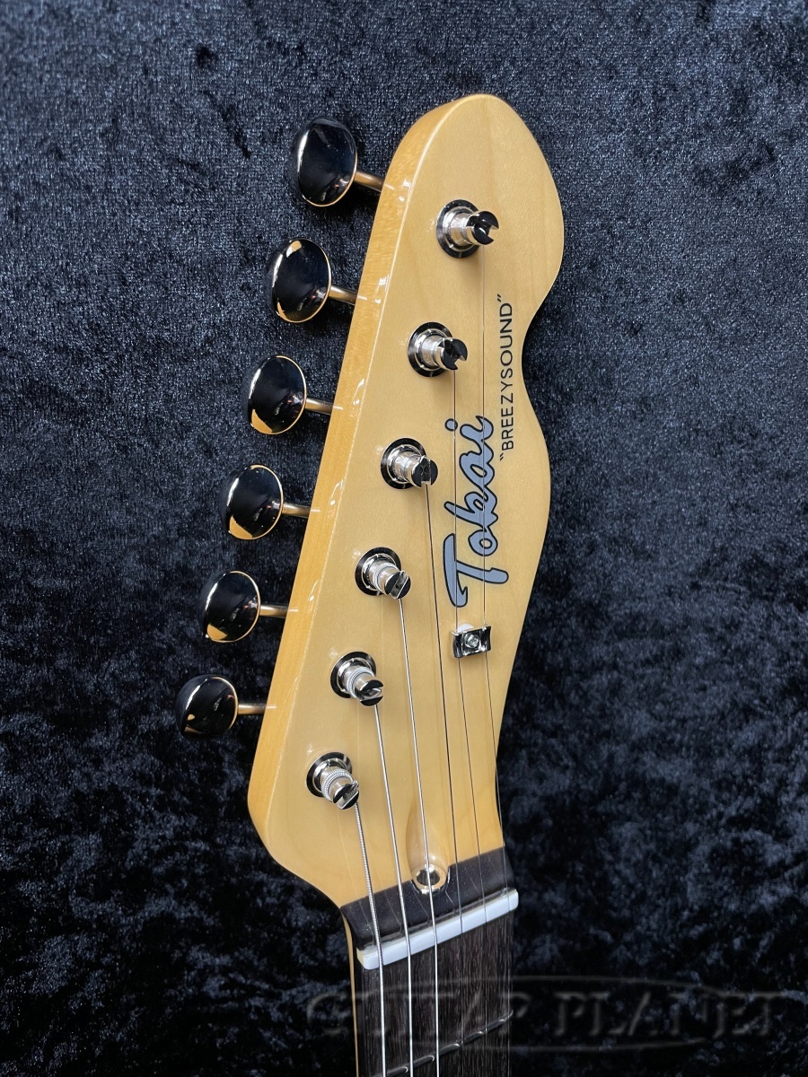 Tokai ATE-102/R IBR（新品）【楽器検索デジマート】