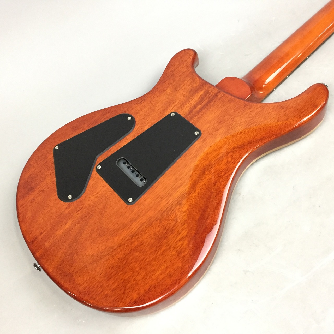 Paul Reed Smith(PRS) SE Custom 24 VS 2025年製（中古/送料無料