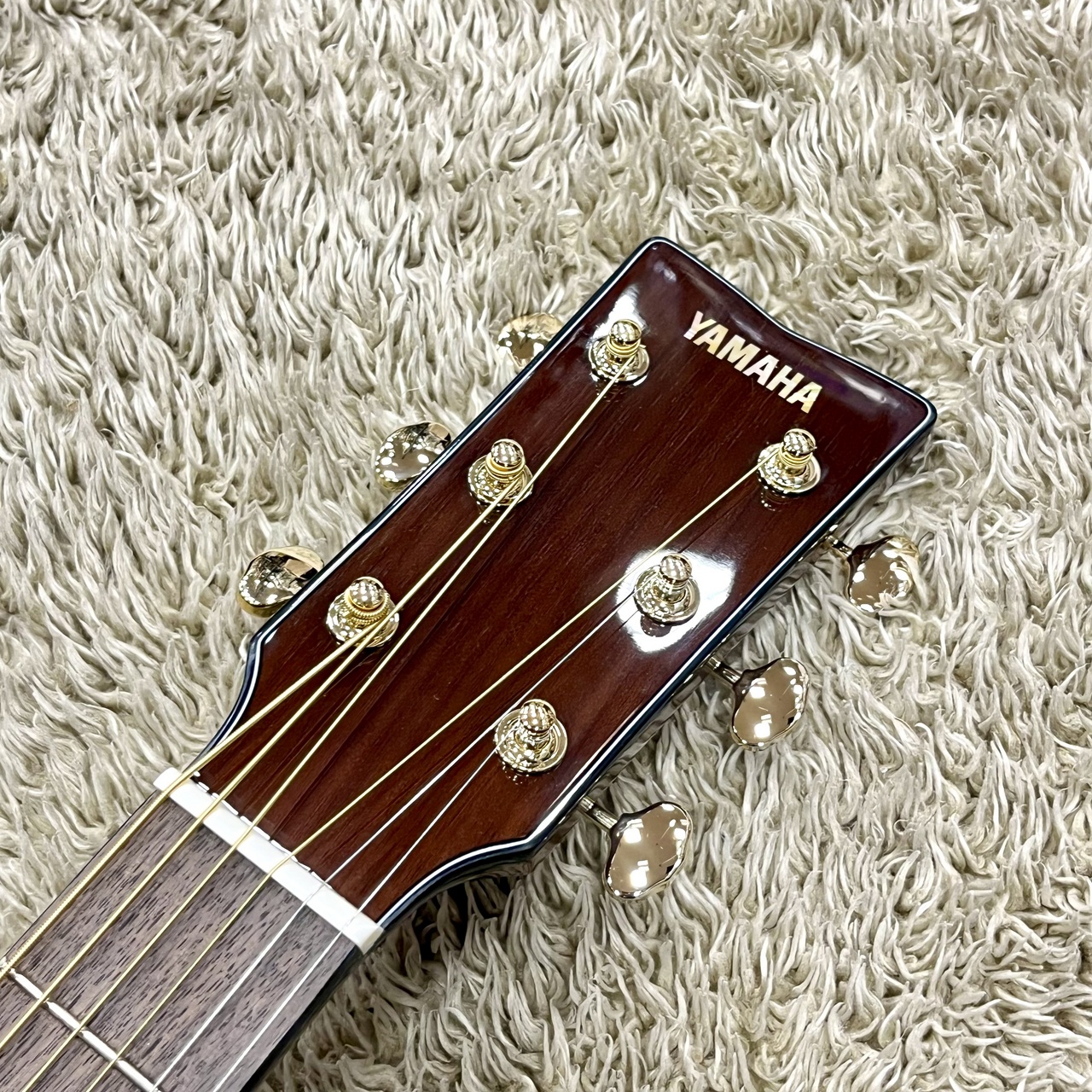 YAMAHA STORIA III【エレアコ】（新品/送料無料）【楽器検索