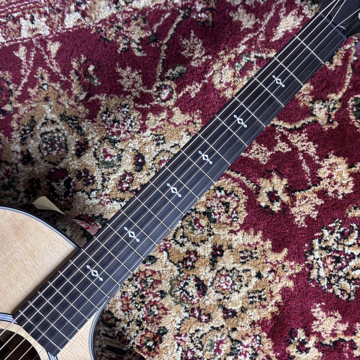 Taylor （テイラー）414ce NEXT GEN（新品/送料無料）【楽器検索