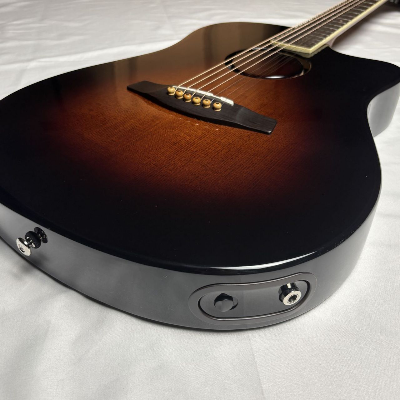 L.R.Baggs AEG1 SB エレアコギター サンバースト シトカスプルース