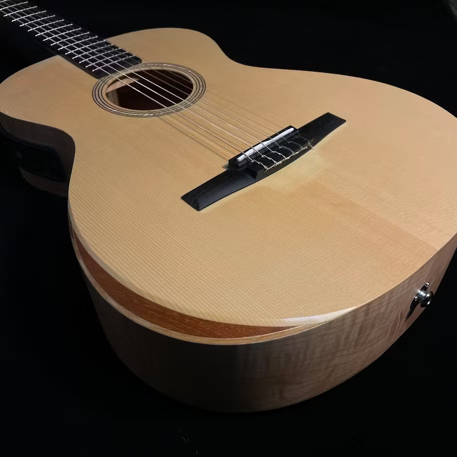 Taylor LTD Academy EG 12e ギター Taylor LTD Academy EG 12e ギター Taylor LTD EG Academy 12e