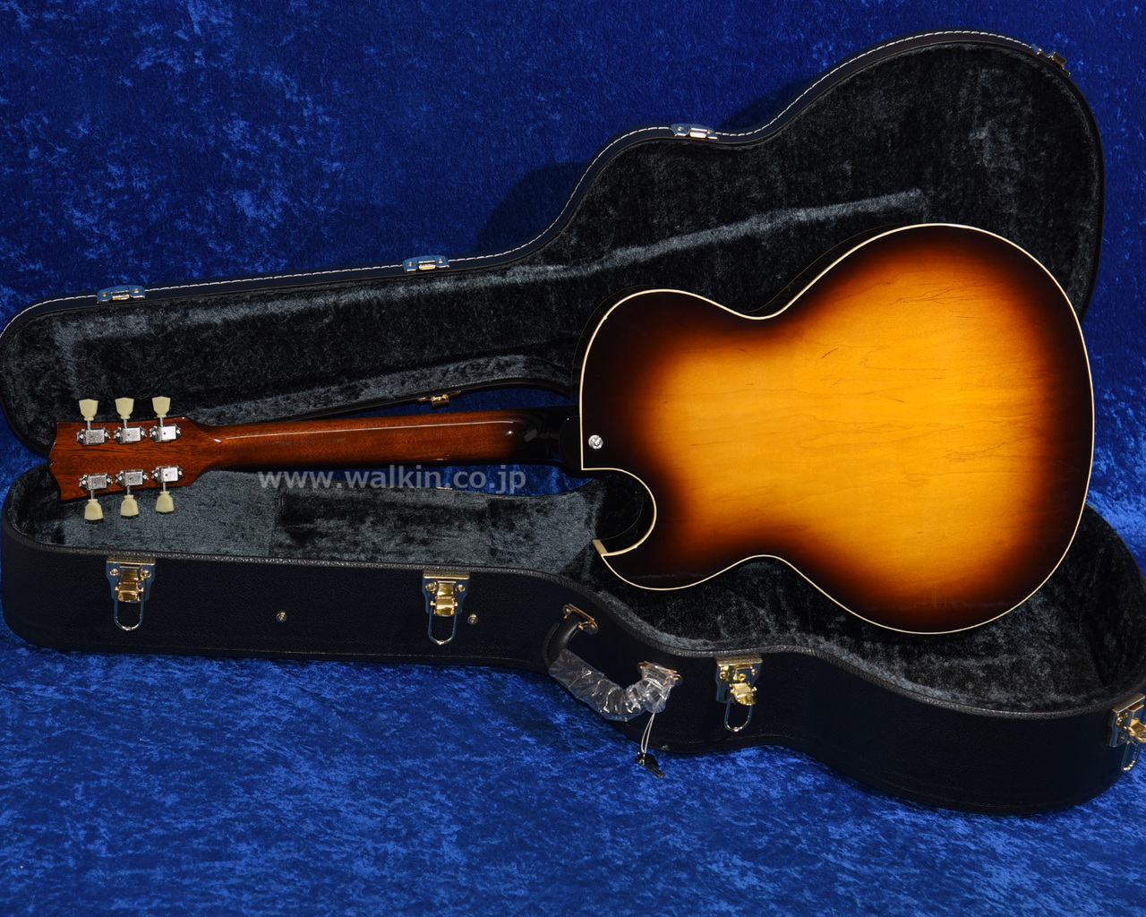 Archtop Tribute AT101 Classic（新品）【楽器検索デジマート】