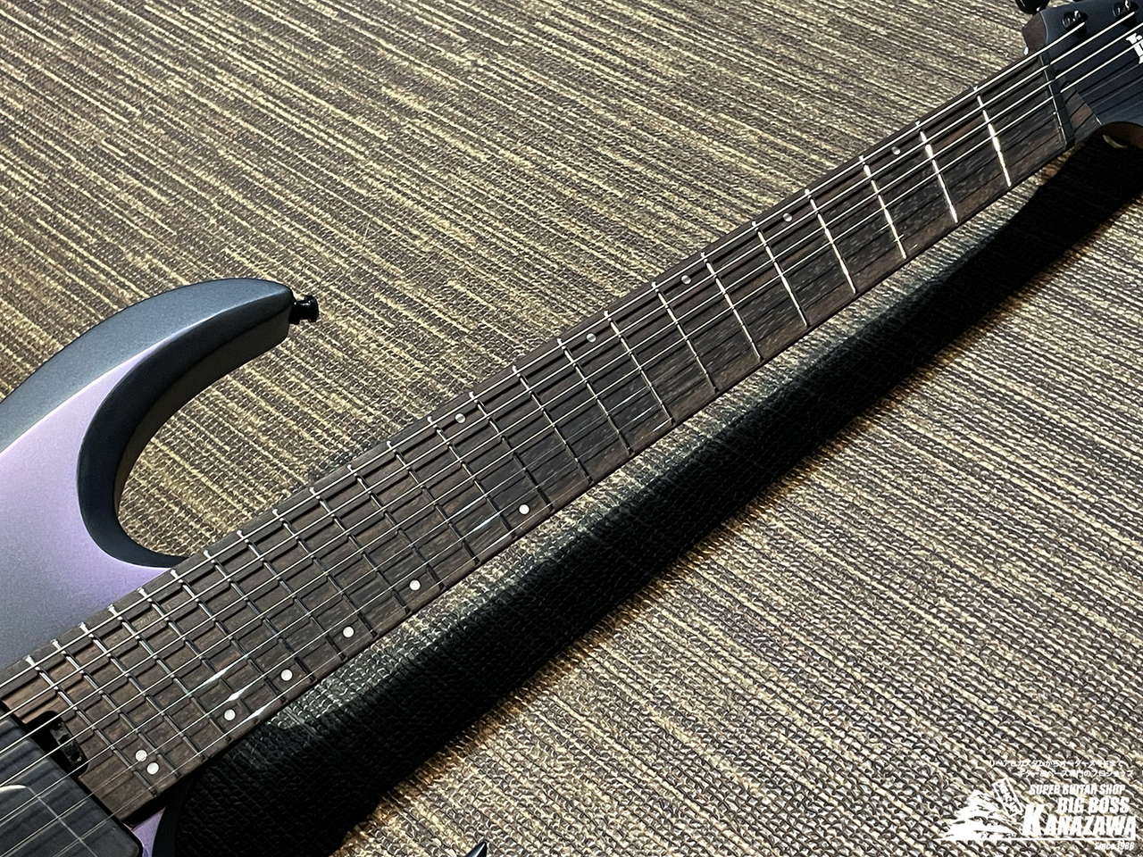 Ibanez RDG71ALMS【中古美品! ステンレスフレット交換!】（中古/送料