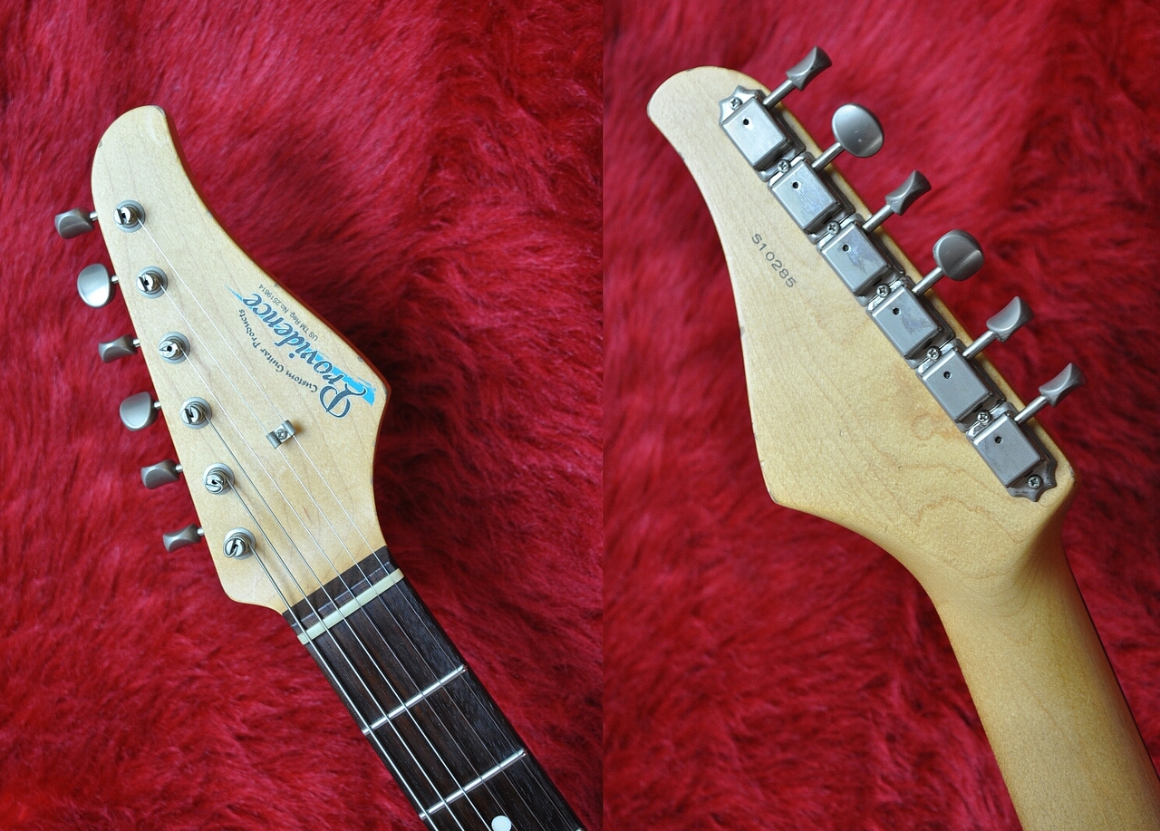 Providence dS-201 RSV LTD ANA（中古）【楽器検索デジマート】
