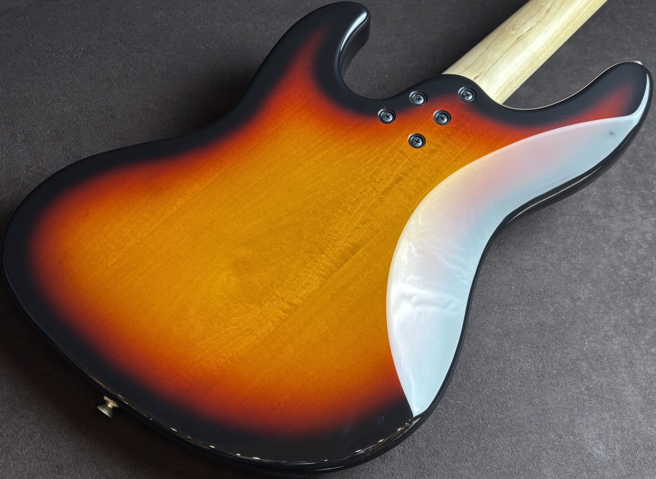 FUJIGEN(FGN) BMJ-G/3TS/01（中古）【楽器検索デジマート】
