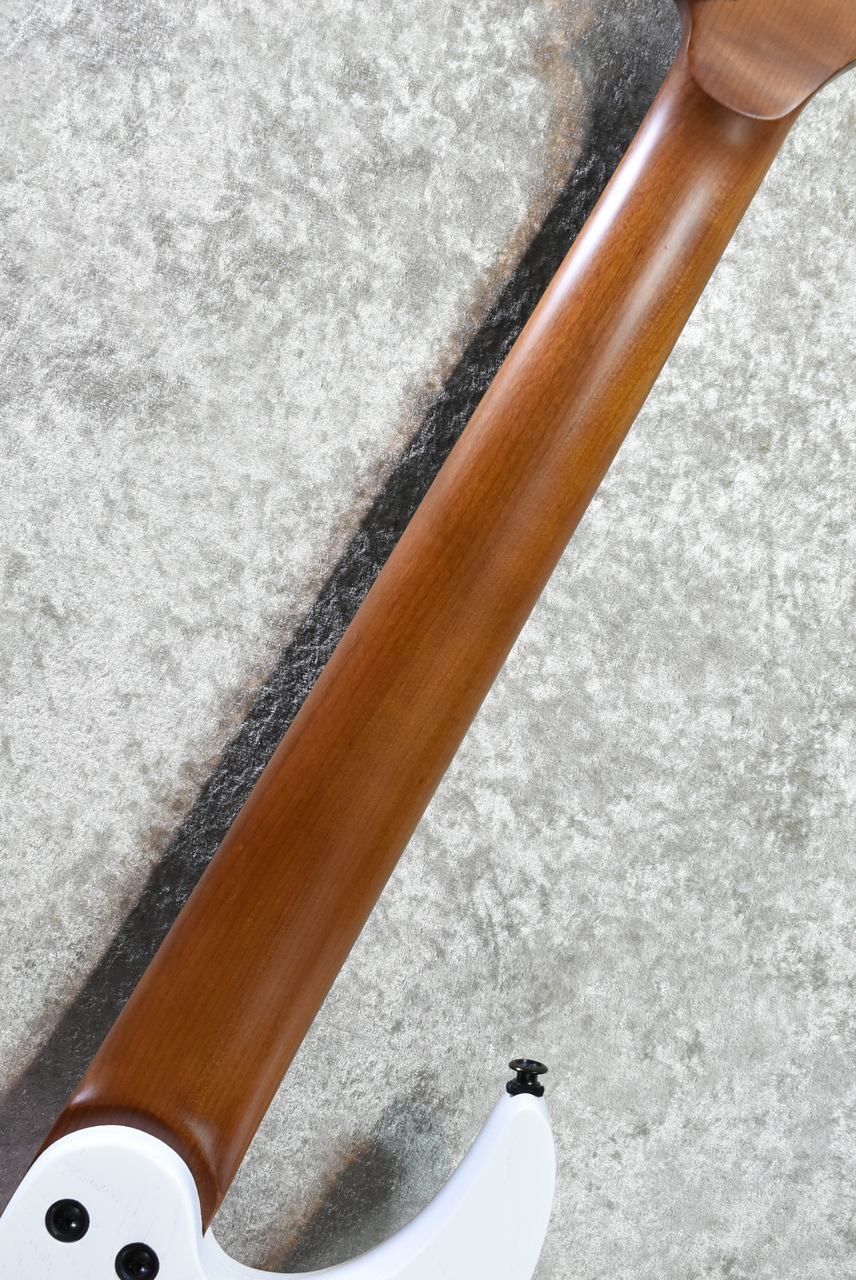 Legator NINJA N7FP Snow Fall #223878【軽量3.42kg!】【25.5
