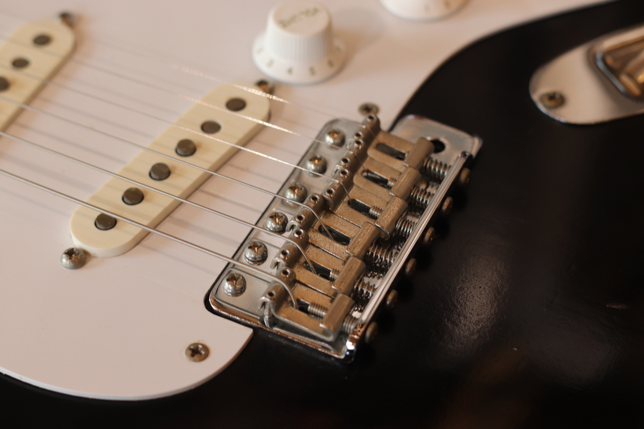 EDWARDS E-SE-120M LT w/ VANZANDT TRUE VINTAGE（中古）【楽器検索