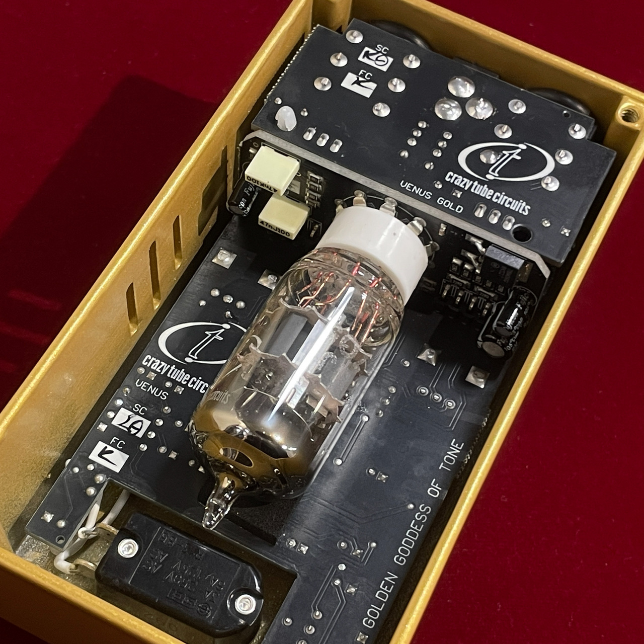 Crazy Tube Circuits Venus JAPAN Limited Edition 【日本限定50台の