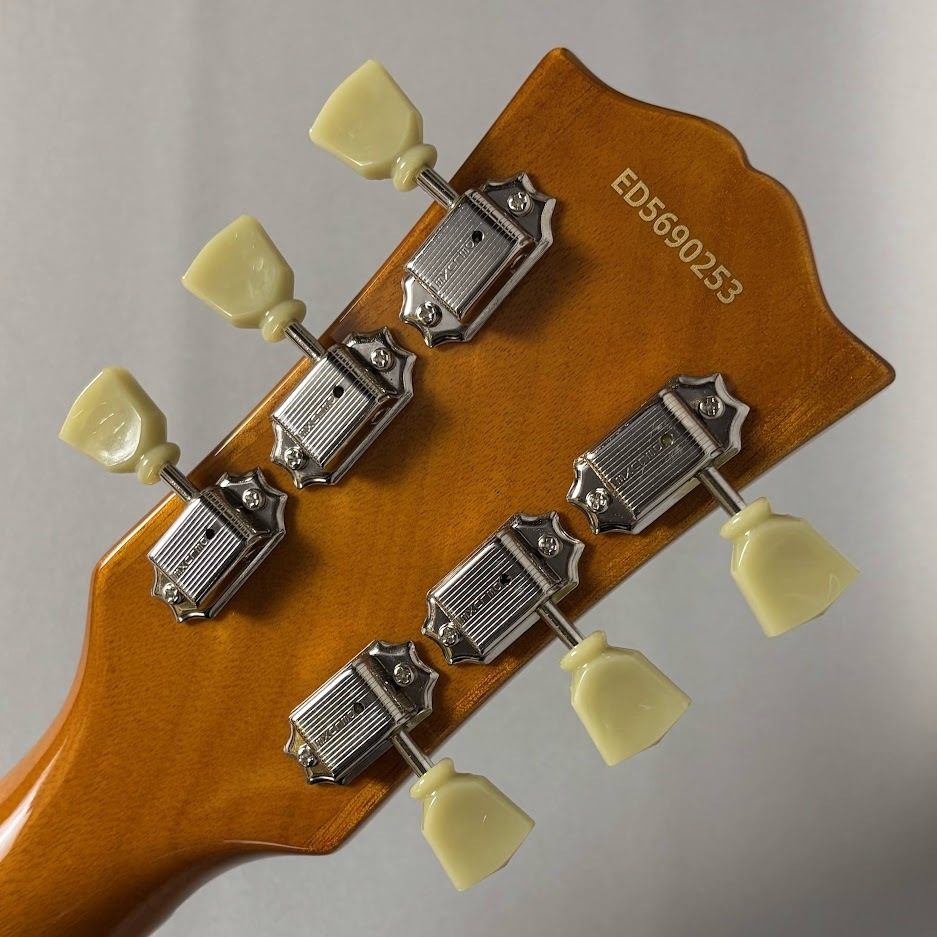 EDWARDS 【現物写真】E-LP-STD（新品/送料無料）【楽器検索