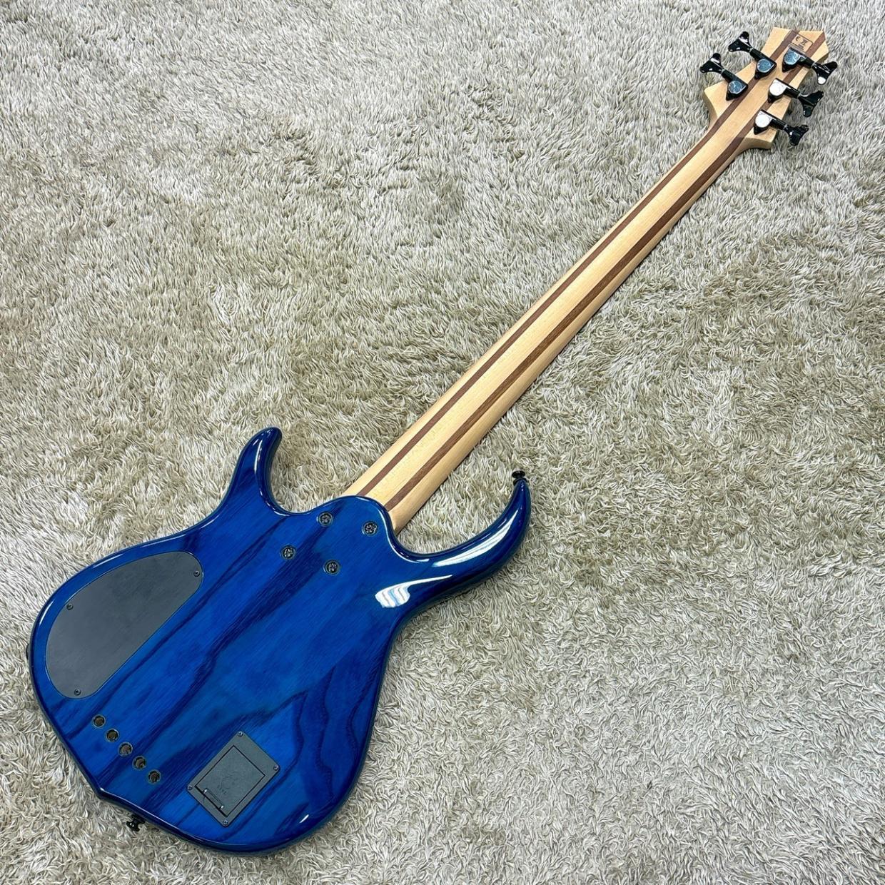 Sire Marcus Miller M5 Ash 5st / TBL (Transparent Blue)（新品/送料