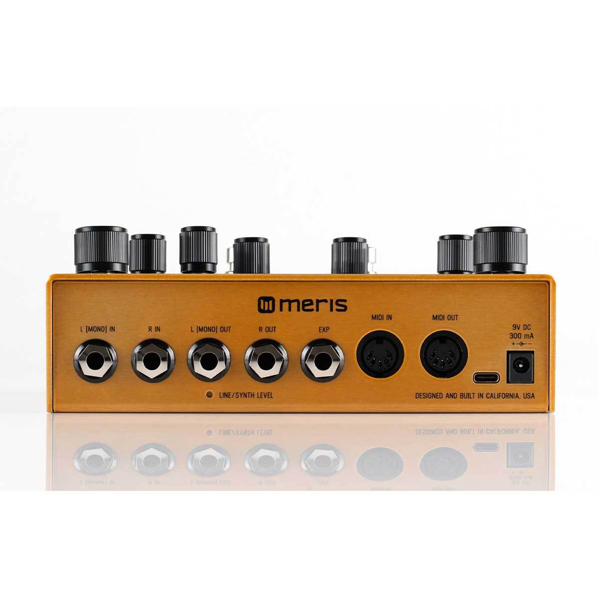 meris Enzo X ペダル型 ポリフォニック・シンセサイザー（新品/送料