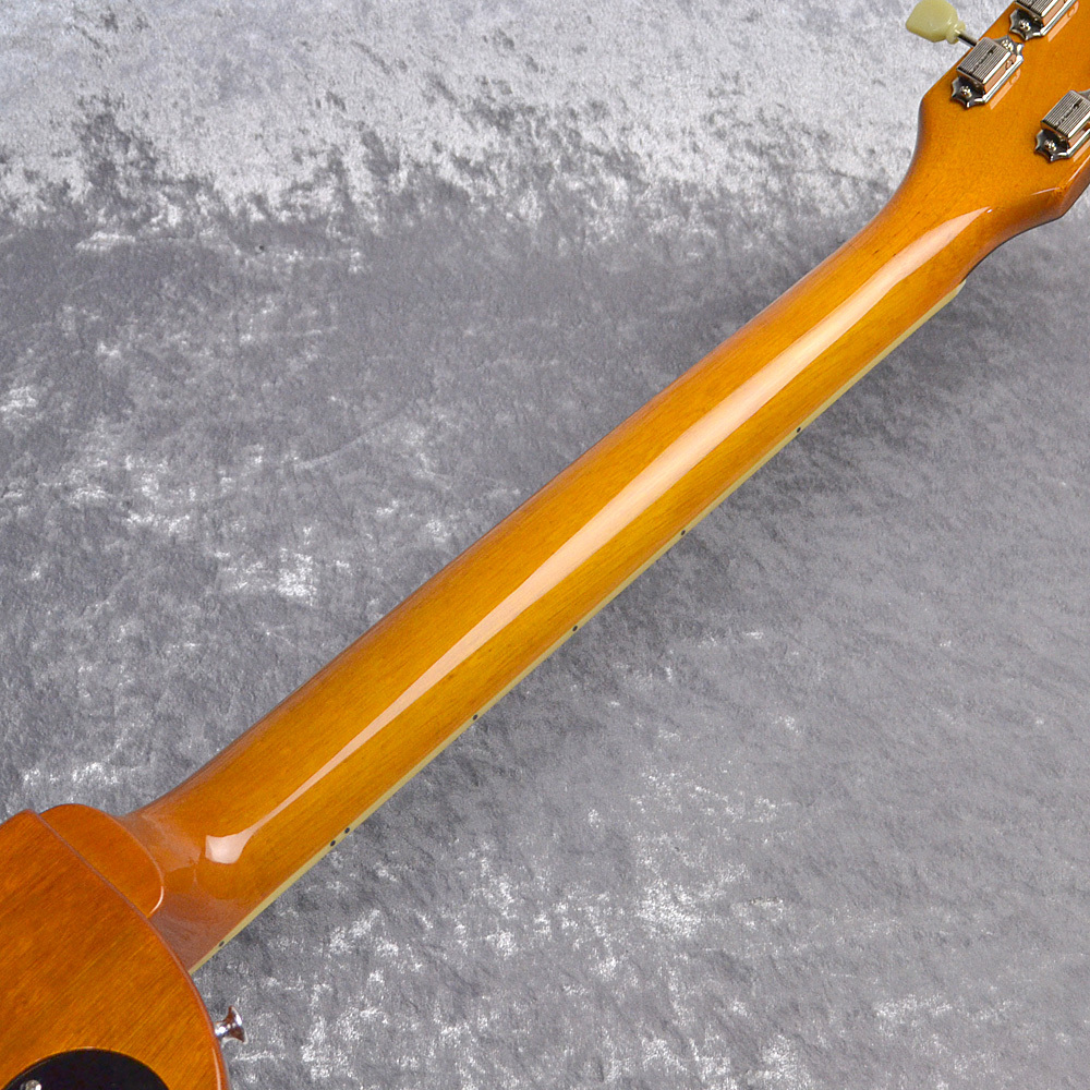 EDWARDS E-LP-STD/P【ゴールドトップ】現物画像（新品/送料無料