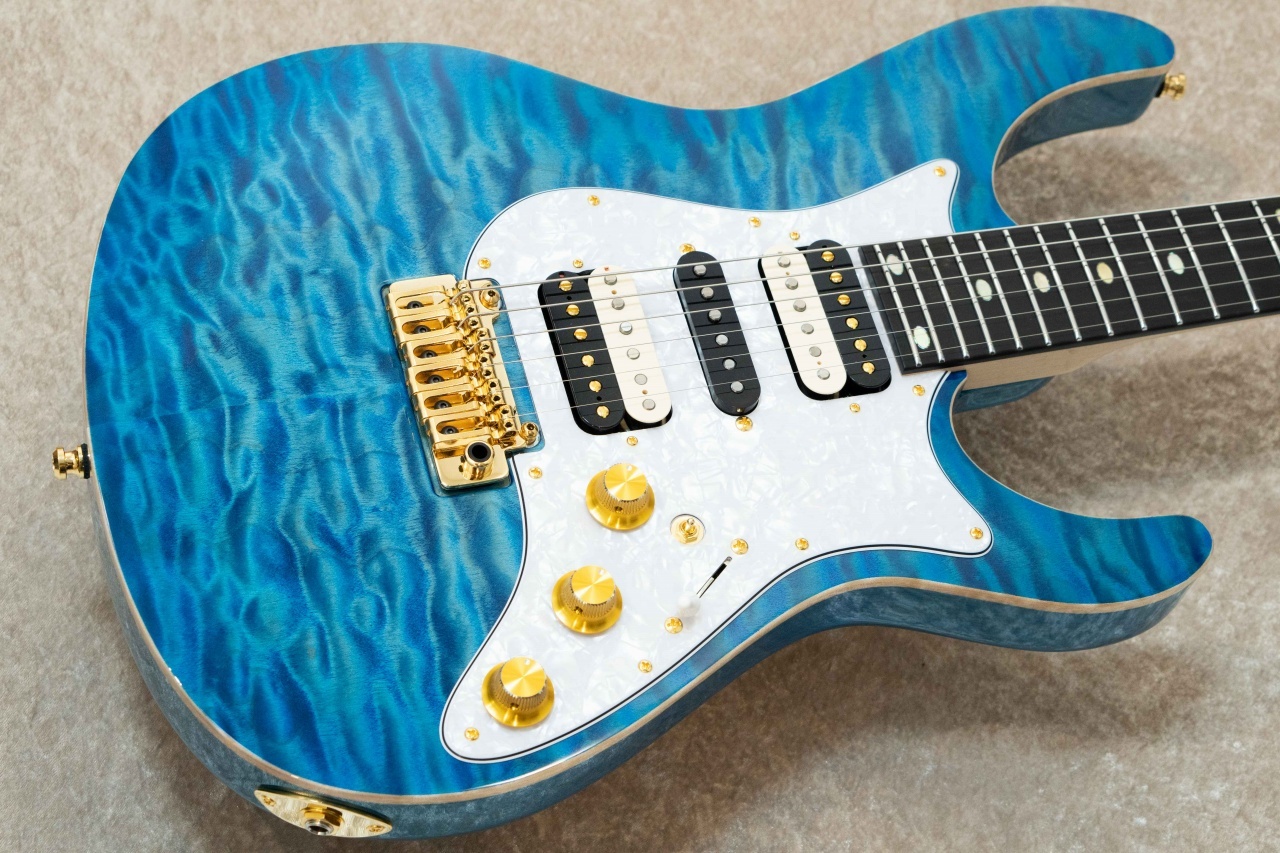 FREEDOM CUSTOM GUITAR RESEARCH HYDRA 24F 2Point -清流