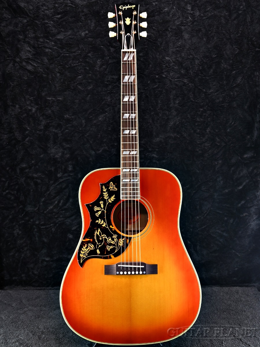 EpiphoneDr-100レフティ Epiphone DR-100 Acoustic Guitar | zZounds