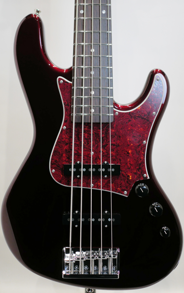 FREEDOM CUSTOM GUITAR RESEARCH C.S. Anthra-5st / Vampire（新品