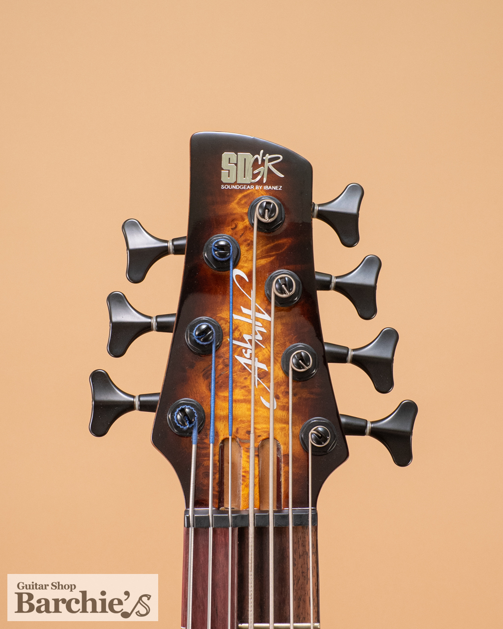 Ibanez SRAS7-RSG Ashula 阿修羅 Amazon.com: Ibanez Bass Workshop