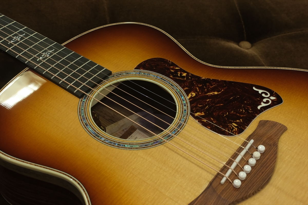 Taylor Gold Label 814e / SB 【2025年新製品】（新品/送料無料