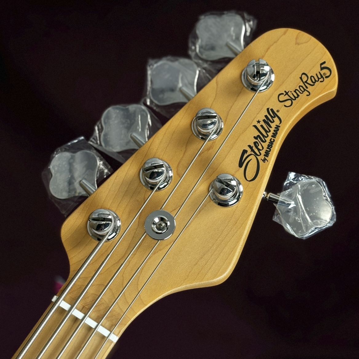 Sterling by MUSIC MAN RAY25CA-M1 OWH エレキベース 5弦ベース