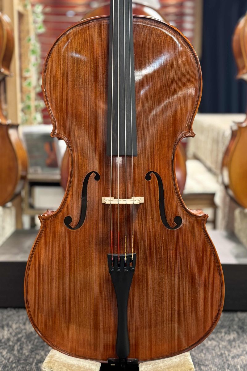 Gliga 【チェロ】 Gama II 【池袋店】（新品/送料無料）【楽器検索