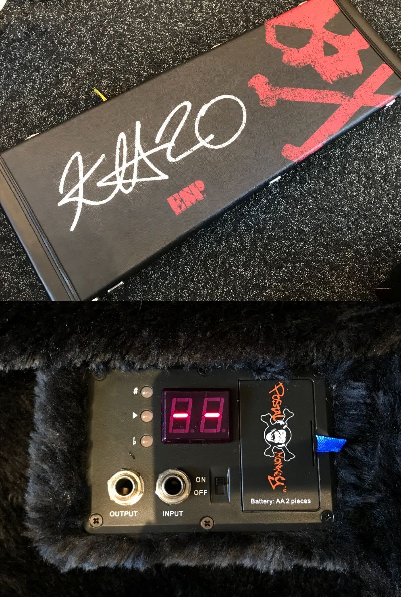 LTD KH-25 Limited Edition 2012 Kirk Hammett Model（中古）【楽器