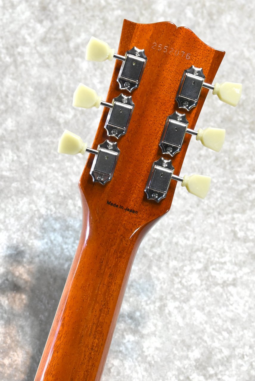 Tokai LS312-KRCM Honey Burst #2552076【無垢選定トップ、極上