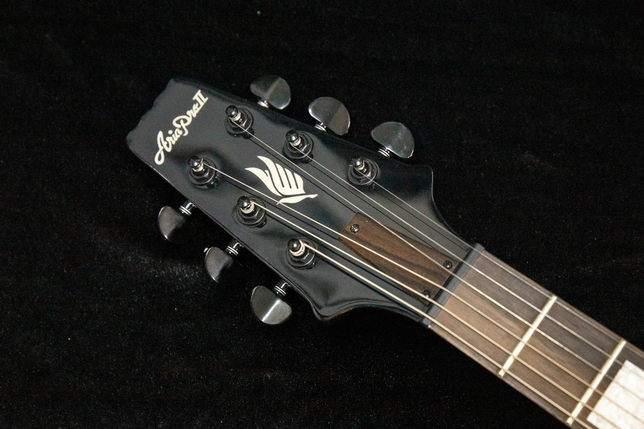 Aria Pro II Full Acoustic Guitar w/BIGSBY Tremolo【Guitar Shop