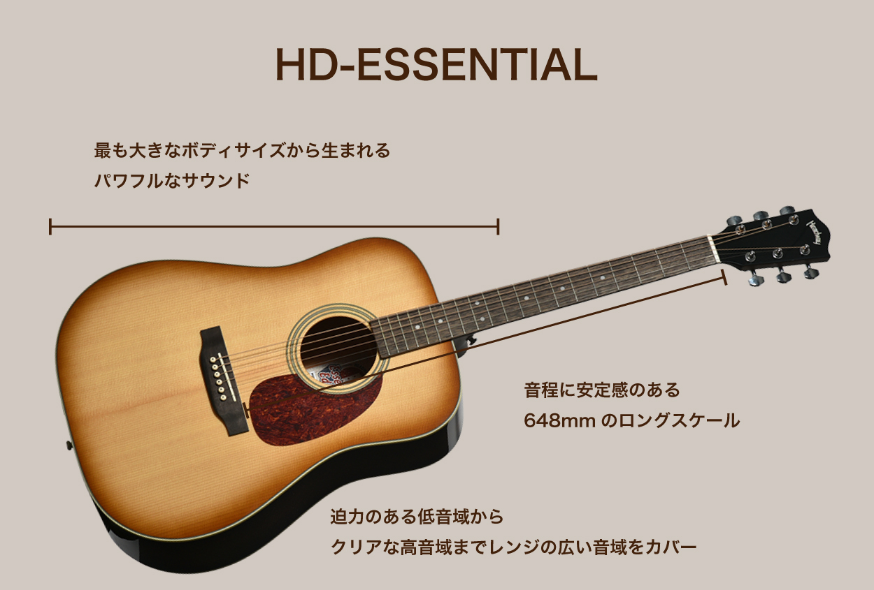 Headway アコースティックギター ブラウン HEADWAY ヘッドウェイ Japan Tune-up Series HOC-NORTHBIRD NA