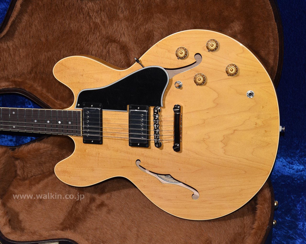 Archtop Tribute AT135STP（新品）【楽器検索デジマート】