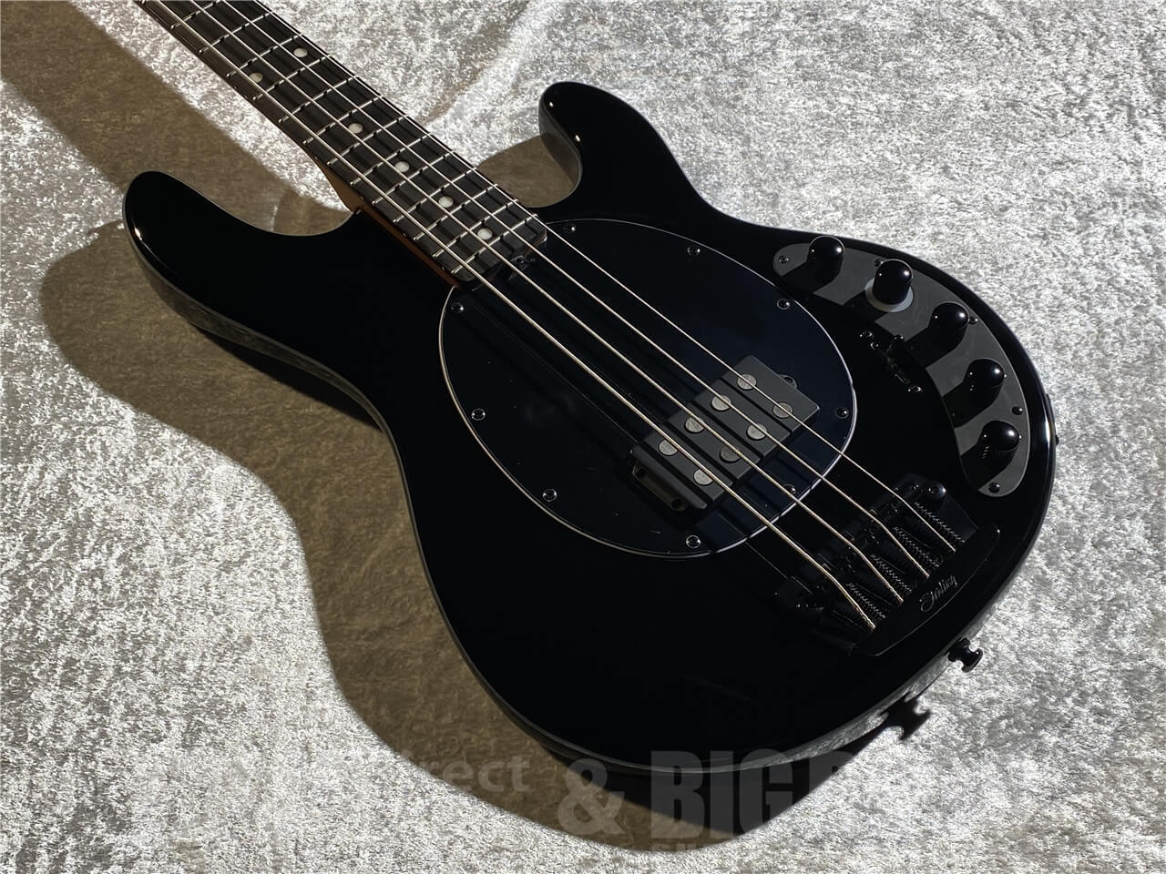 Sterling by MUSIC MAN DarkRay (Black)（新品/送料無料）【楽器検索