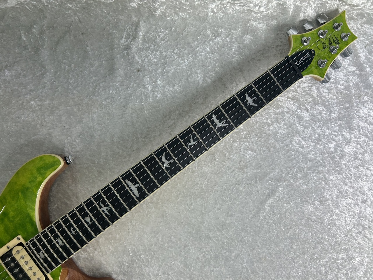 Paul Reed Smith(PRS) SE Custom 24 Quilt Package (Eriza Verde