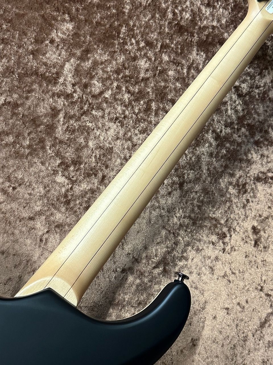 FUJIGEN(FGN) ELAN EXPERT EEL-DE/MBK ≒3.962Kg（新品/送料無料