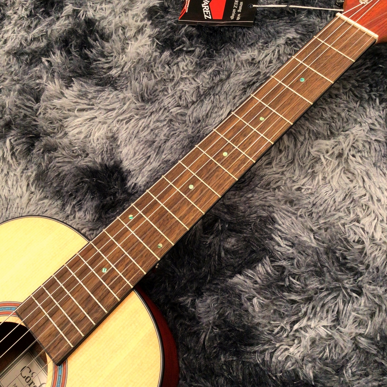 Cordoba MINI II PADAUK【特価】【ミニギター】（新品特価/送料無料