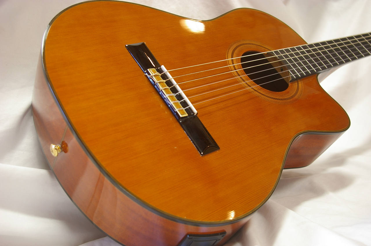 ARIA A-35 CE（中古）【楽器検索デジマート】