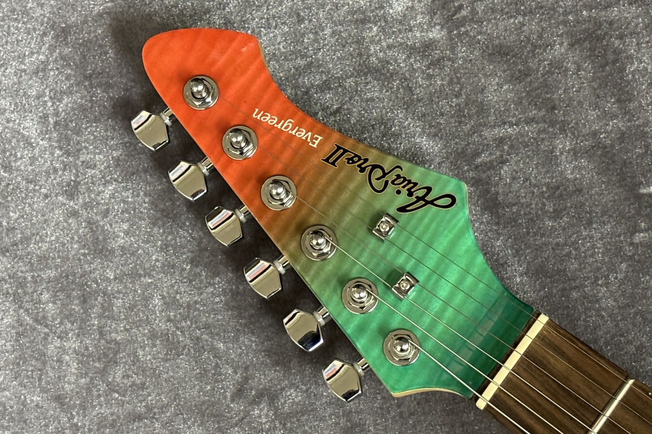 Aria Evergreen Aria Pro II限定モデルオリジナルケース付