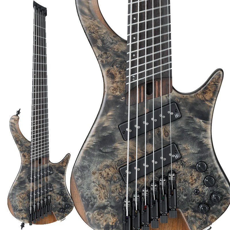 Ibanez EHB1506MS ベース EHB1506MS | EHB | ELECTRIC BASSES | PRODUCTS | Ibanez guitars